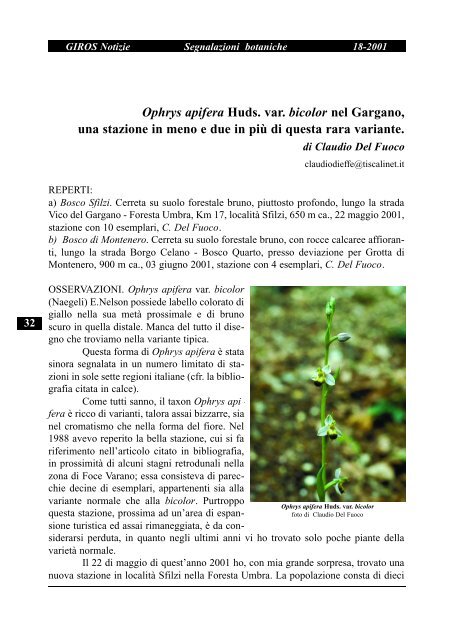 Ophrys mirabilis Geniez & Melki, nuova stazione in provincia di ...