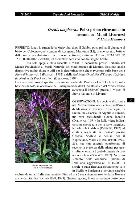 Ophrys mirabilis Geniez & Melki, nuova stazione in provincia di ...