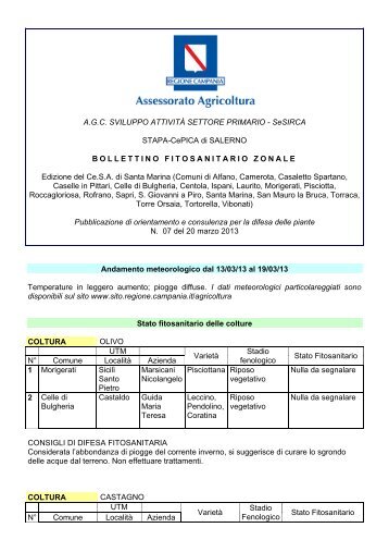 Santa Marina - Policastro Bussentino (SA) - Regione Campania