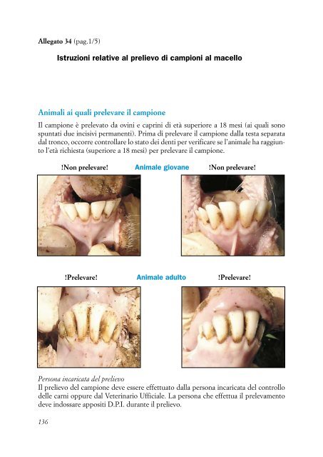 DOTT. ROVAI lineeguidascrapie.pdf - Medicina Veterinaria