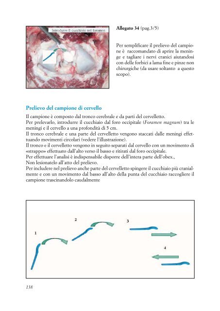 DOTT. ROVAI lineeguidascrapie.pdf - Medicina Veterinaria