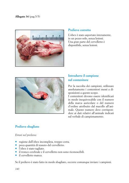 DOTT. ROVAI lineeguidascrapie.pdf - Medicina Veterinaria