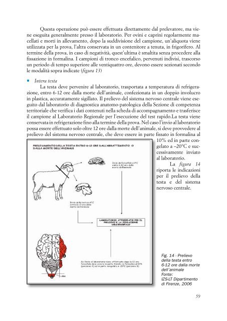 DOTT. ROVAI lineeguidascrapie.pdf - Medicina Veterinaria