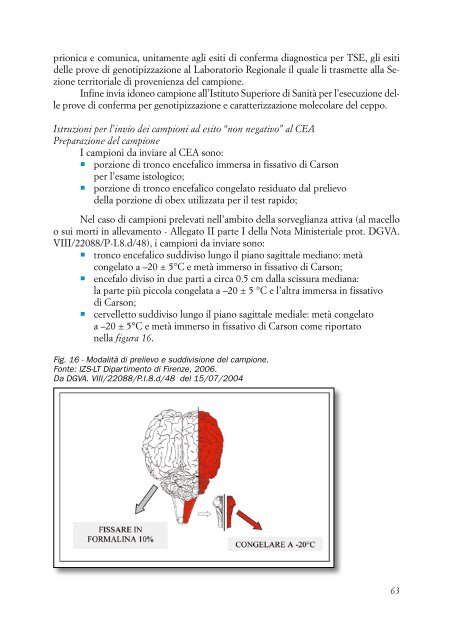 DOTT. ROVAI lineeguidascrapie.pdf - Medicina Veterinaria