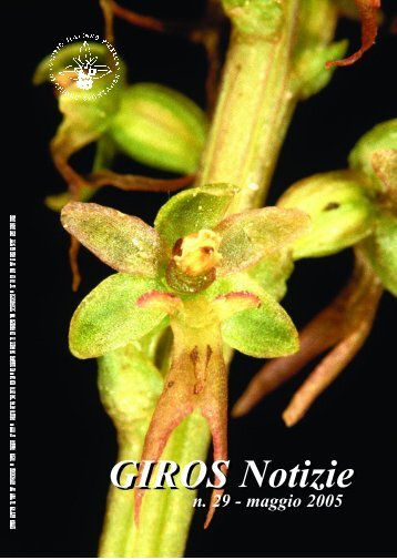 Giros Notizie n. 28 - Wild Plants of Malta