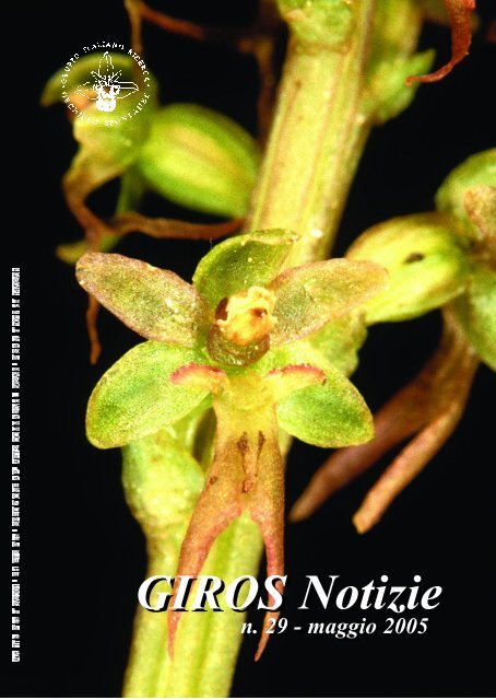 Giros Notizie n. 28 - Wild Plants of Malta