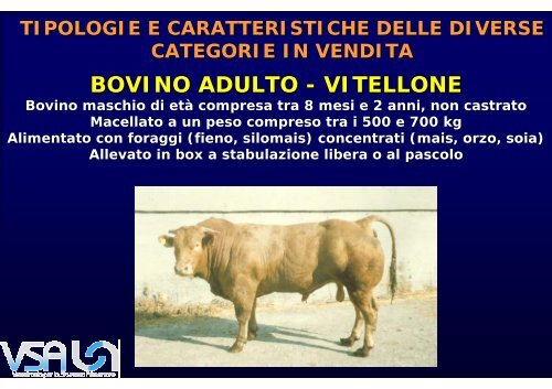 SAPER SCEGLIERE LE CARNI BOVINE - Dote Regione Lombardia