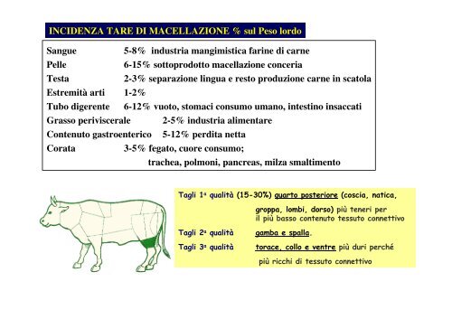 PRODUZIONE DELLA CARNE