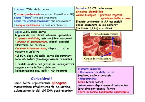 PRODUZIONE DELLA CARNE