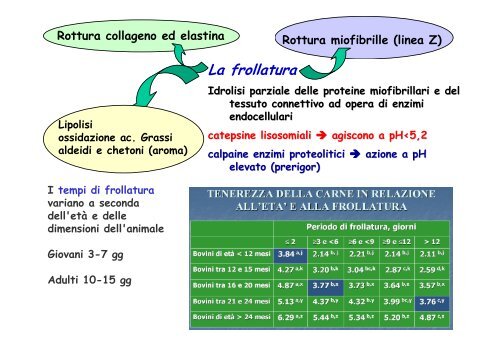 PRODUZIONE DELLA CARNE