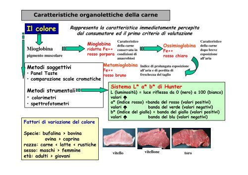 PRODUZIONE DELLA CARNE