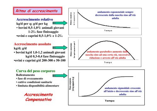 PRODUZIONE DELLA CARNE