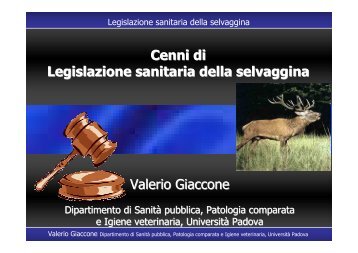 Legislazione sanitaria selvaggina Forli 8 06 2007 - Azienda USL di ...