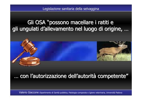 Legislazione sanitaria selvaggina Forli 8 06 2007 - Azienda USL di ...