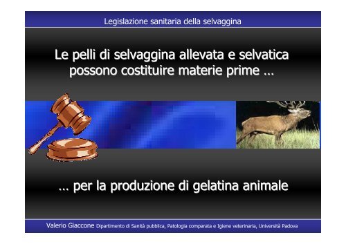 Legislazione sanitaria selvaggina Forli 8 06 2007 - Azienda USL di ...