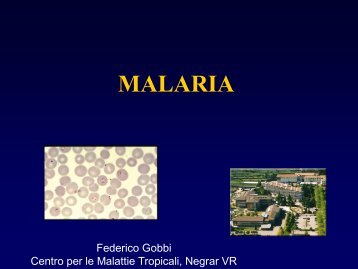 malaria