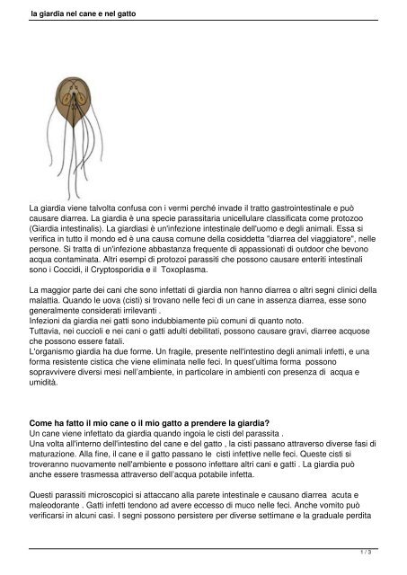 i vermi causano diarrea nei cani