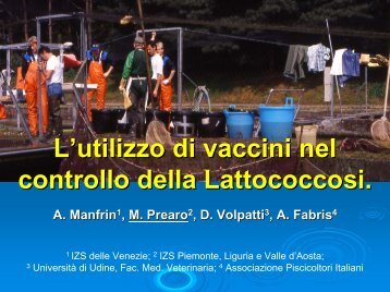 L'utilizzo dei vaccini nel controllo della lattococcosi in troticoltura - SIPI