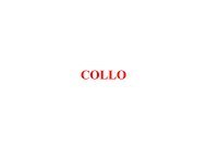 6. Collo.pdf