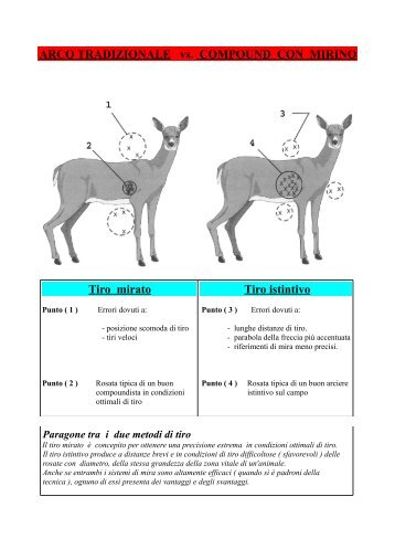 ARCO TRADIZIONALE vs. COMPOUND CON MIRINO Tiro mirato ...