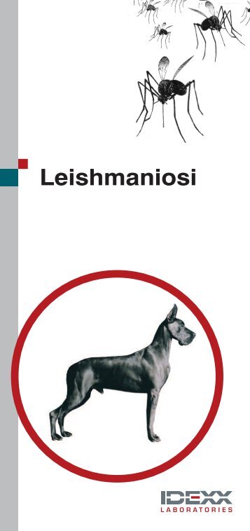 Leishmaniosi monografia - IDEXX Laboratories