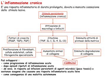 L'infiammazione cronica - patgen-clip-rossetto2013
