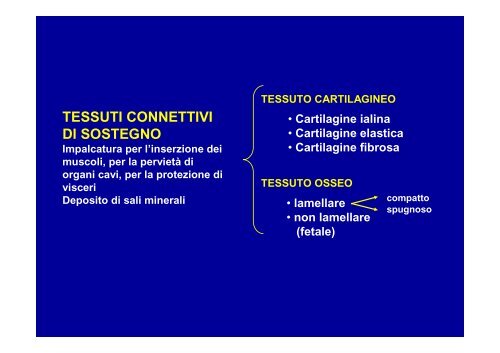 T. connettivo propriamente detto - ImageShack