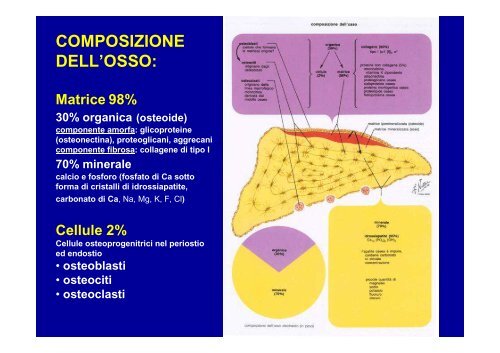 T. connettivo propriamente detto - ImageShack