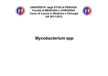 18.genere mycobacterium - Facoltà di Medicina e Chirurgia