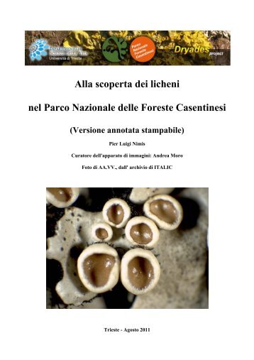 Alla scoperta dei licheni nel Parco Nazionale delle Foreste ...