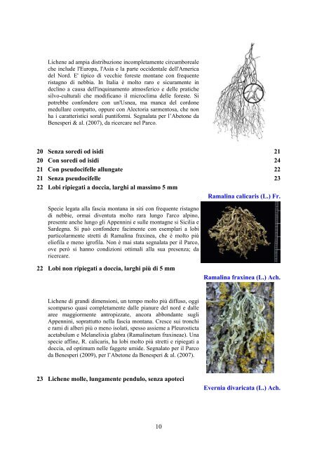 Alla scoperta dei licheni nel Parco Nazionale delle Foreste ...