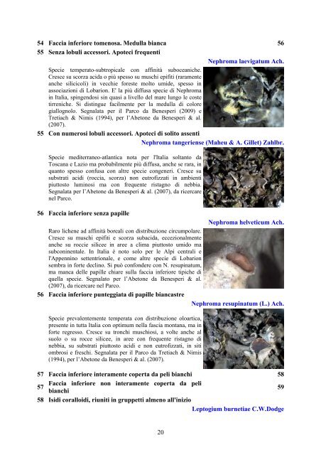 Alla scoperta dei licheni nel Parco Nazionale delle Foreste ...