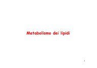 Metabolismo dei lipidi - Altervista