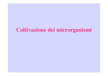 Coltivazione dei microrganismi - Microbiologia Generale