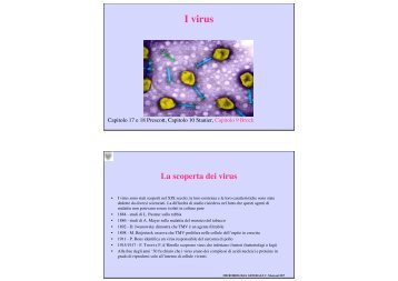 I virus - Microbiologia Generale