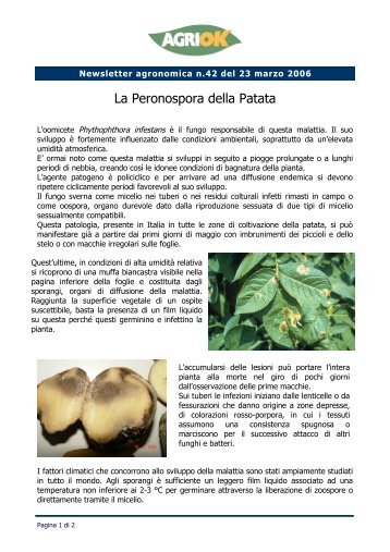 La Peronospora della Patata