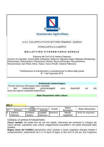 Vairano - Regione Campania - Assessorato Agricoltura