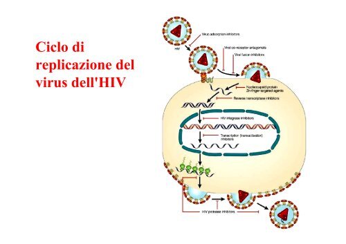 FARMACI ANTIVIRALI FARMACI ANTIVIRALI - Cicciolo.net