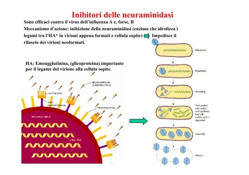 FARMACI ANTIVIRALI FARMACI ANTIVIRALI - Cicciolo.net