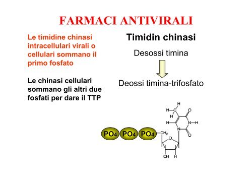 FARMACI ANTIVIRALI FARMACI ANTIVIRALI - Cicciolo.net