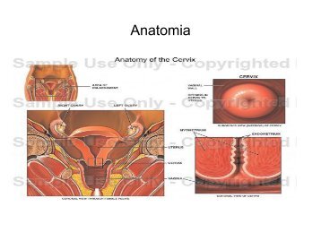 Citologia -colposcopia-HPV