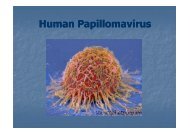 HPV human papilloma virus