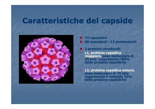 HPV human papilloma virus