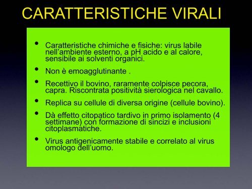 VIRUS RESPIRATORIO SINCIZIALE BOVINO