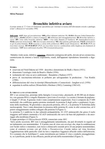Bronchite infettiva aviare - AGRARIA.it