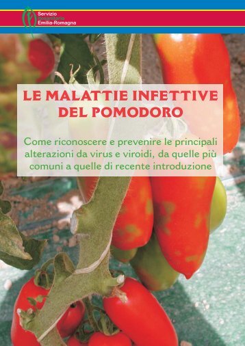 LE MALATTIE INFETTIVE DEL POMODORO - Ermes Agricoltura