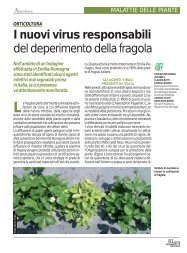 I nuovi virus responsabili del deperimento della fragola - Crpv