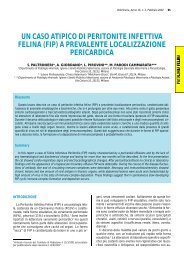 un caso atipico di peritonite infettiva felina - Vet.Journal