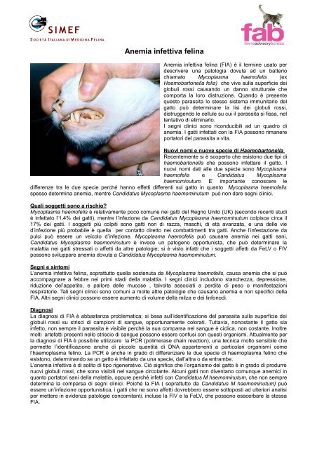 perché è dovuta la perdita di peso
