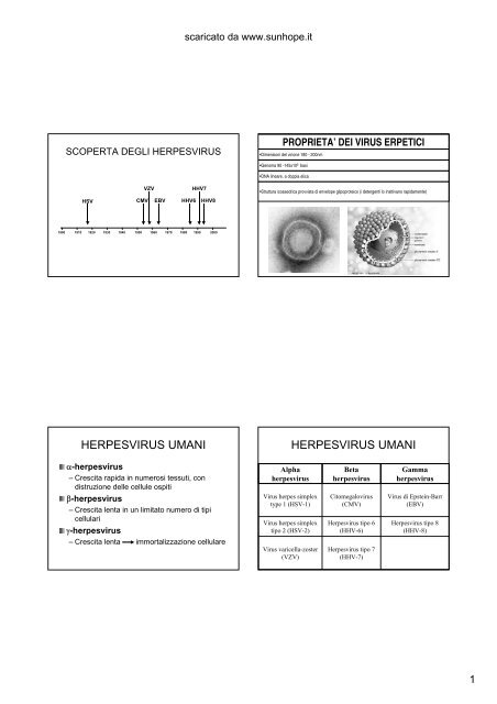 Mononucleosi Infettiva - SunHope